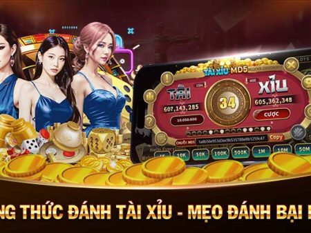 vip79-Thưởng lớn đang chờ đợi tại nhà cái hàng đầu!