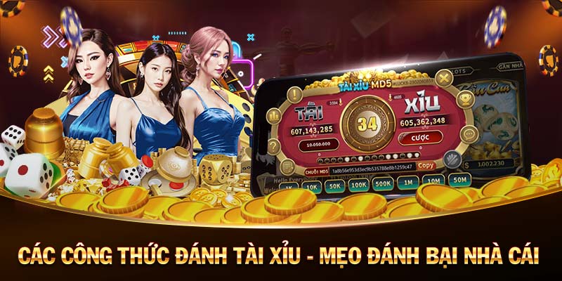 vip79-Thưởng lớn đang chờ đợi tại nhà cái hàng đầu!